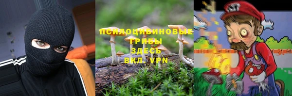 гашиш Богданович