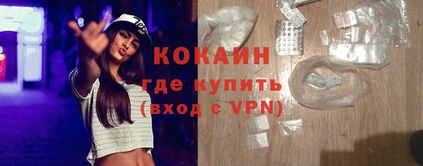 гашиш Богданович
