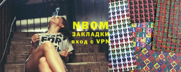 гашиш Богданович